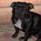 marzo 2009